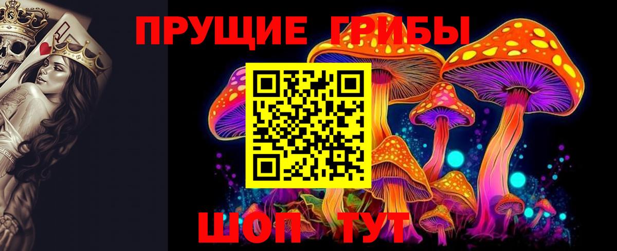 наркотики  Вход с VPN  Мытищи  Галлюциногенные грибы GOLDEN TEACHER 
